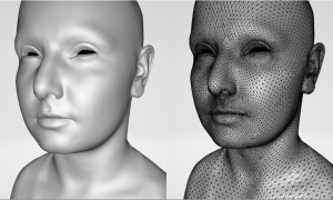 3d model morphed into target face